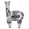 Alpaca zentangle design for coloring book for adult, logo, t shirt design and so on