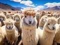 Ai Generated illustration Wildlife Concept of Alpacas Peru