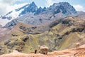 Alpacas in the Peruvian Andes near Vinicunca Rainbow Mountain in Cusco Province, Peru Royalty Free Stock Photo