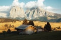 Alpe di Siusi, Dolomites, Italy