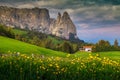 Alpe di Siusi resort with spring yellow flowers, Dolomites, Italy