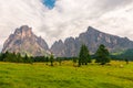 Alpe di Siusi or Seiser Alm with cows, Dolomites Alps Sassolungo and Sassopiatto mountains, South Tyrol, Italy