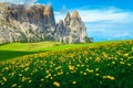 Alpe di Siusi resort with spring yellow dandelions, Dolomites, Italy Royalty Free Stock Photo