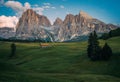 Alpe di Siusi Seisser Alm Royalty Free Stock Photo