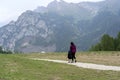 Alpe Lusia, Dolomites, Alps, Italy. Beautiful Mountain View. Summer mountain landscape in val di Fassa, Italian dolomites