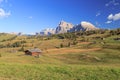 Alpe Siusi near Castelrotto in Italy Royalty Free Stock Photo