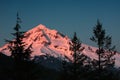 Alpenglow on Mt. Hood Royalty Free Stock Photo