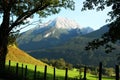 Alpes mountain in summer is aloso beautiful Royalty Free Stock Photo