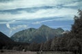 Alpes, tree and rocks infrared. Royalty Free Stock Photo