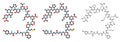 Alpha-endorphin endogenous opioid peptide molecule