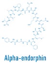 Alpha-endorphin endogenous opioid peptide molecule. Skeletal formula.