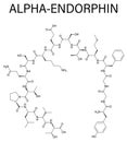 Alpha-endorphin molecule. Skeletal formula.