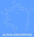 Alpha-endorphin molecule. Skeletal formula.