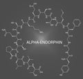 Alpha-endorphin molecule. Skeletal formula.