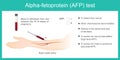 Alpha-fetoprotein AFP test.