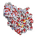 Alpha-galactosidase (Agalsidase) enzyme. Cause of Fabry's diseas