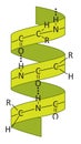 Alpha helix