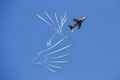 An Alpha Jet fighter jet in flight over airfield Udon Thani Airport Thailand Royalty Free Stock Photo