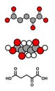 Alpha-ketoglutaric acid (ketoglutarate, oxo-glutarate). Intermediate molecule in the Krebs cycle. Found to prolong lifespan (in