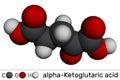 Alpha-ketoglutaric acid, 2-oxoglutaric acid, oxoglutarate, alpha ketoglutarate molecule. It is intermediate metabolite in Krebs