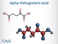 Alpha-ketoglutaric acid, 2-oxoglutaric acid, oxoglutarate, alpha ketoglutarate molecule. It is intermediate metabolite in Krebs