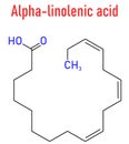 Alpha-linolenic acid or ALA molecule. Skeletal formula. Royalty Free Stock Photo