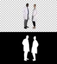 Two caucasian and afro american smiling doctors standing looking in to camera, Alpha Channel Royalty Free Stock Photo