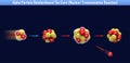 Alpha Particle Bombardment The Core Nuclear Transmutation Reaction