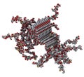 Alpha-synuclein fibril structure, determined by solid-state NMR. Thought to play a role in diseases including Parkinson`s disease Royalty Free Stock Photo