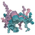 Alpha-synuclein fibril structure, determined by solid-state NMR. Thought to play a role in diseases including Parkinson`s disease Royalty Free Stock Photo