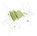 Alpha-synuclein fibril structure, determined by solid-state NMR. Thought to play a role in diseases including Parkinson`s disease