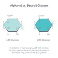 Alpha versus Beta Glucose chemistry vector illustration diagram