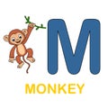 Alphabet animal flash card Monkey