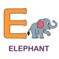 Alphabet animal flsh card Elephant Royalty Free Stock Photo