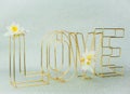 Big gold letters LOVE on silver background