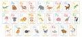 Alphabet cards for kids. Educational preschool learning ABC card with animal and letter cartoon vector illustration set Royalty Free Stock Photo