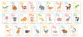 Alphabet cards for kids. Educational preschool learning ABC card with animal and letter cartoon vector illustration set Royalty Free Stock Photo