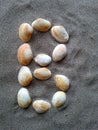 Alphabet character B created with seashells on beach-sand