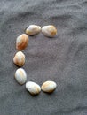 Alphabet character C created with seashells on beach-sand