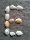 Alphabet character E created with seashells on beach-sand