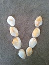 Alphabet character V created with seashells on beach-sand