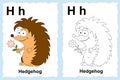 Alphabet coloring book page with outline clip art to color. Letter H.Hedgehog. Vector animals.