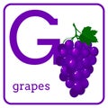 An alphabet with cute fruits, Letter G grapes