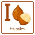 An alphabet with cute fruits, Letter I ita palm