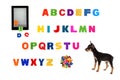 Alphabet, electronic book and toy-terrier puppy Royalty Free Stock Photo