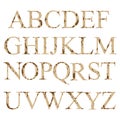 Alphabet. English letters set.