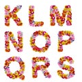 Alphabet of flowers Royalty Free Stock Photo