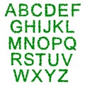 Alphabet with green holy leaves for christmas