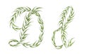 Alphabet of green leaves with letter D in small capital and large capital letter. Watercolor illustration.
