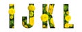 Alphabet I, J, K, L made from marigold flower font isolated on white background. Beautiful character concept